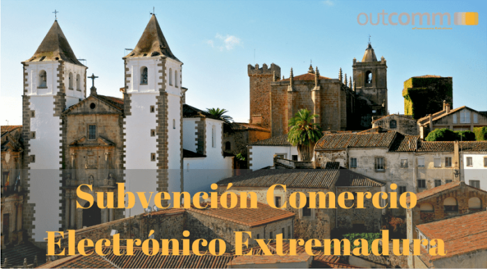 Subvención comercio electrónico Extremadura